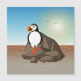 De Puffin aan de kust