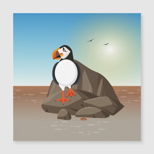 De Puffin aan de kust (Voorkant)