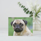 De Pug Dog Briefkaart (Staand voorkant)