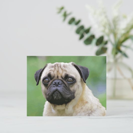 De Pug Dog Briefkaart (Staand voorkant)
