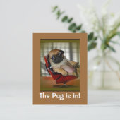De Pug is binnen. Briefkaart (Staand voorkant)