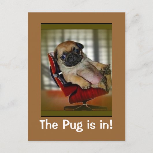 De Pug is binnen. Briefkaart (Voorkant)
