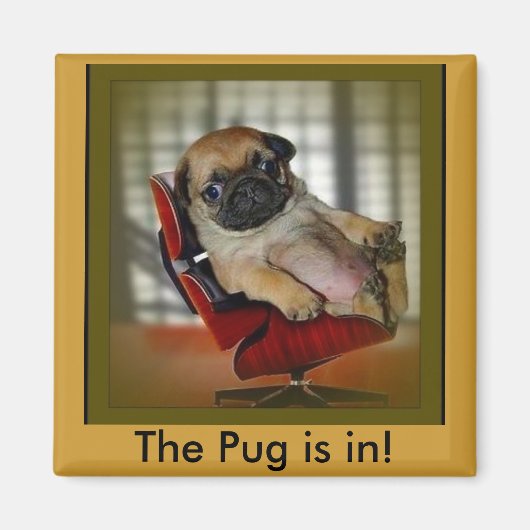 De Pug is binnen. Magneet (Voorkant)