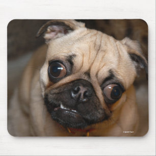 De pug muismat