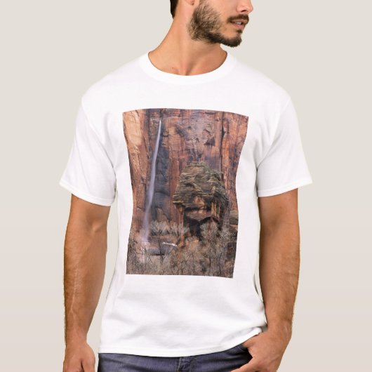 De pulpit en de vluchtige waterval t-shirt (Voorkant)