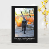 De Pumpkin Guardian Cat Halloween Humor Kaart (Gele Bloem)