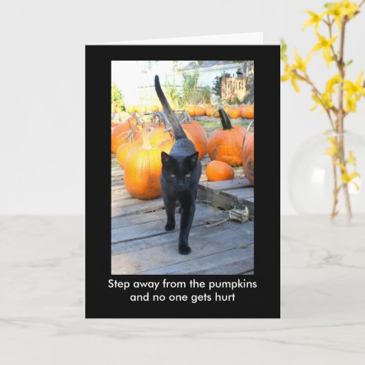 De Pumpkin Guardian Cat Halloween Humor Kaart (Gele Bloem)