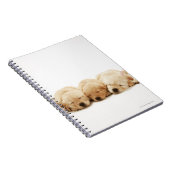 De puppies van de Gouden Herriever Notitieboek (Rechterzijde)