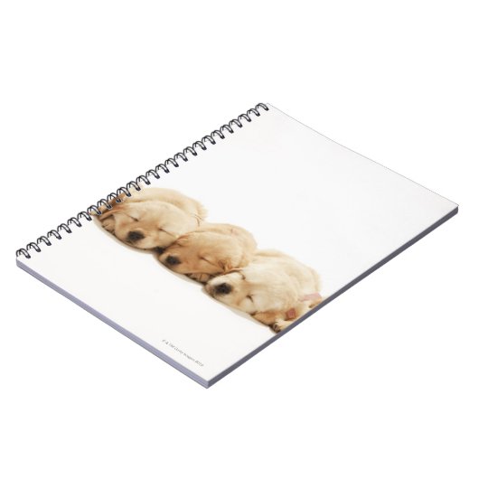 De puppies van de Gouden Herriever Notitieboek (Linkerzijde)