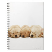 De puppies van de Gouden Herriever Notitieboek (Voorkant)