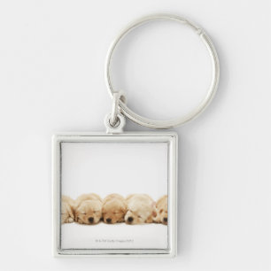 De puppies van de Gouden Herriever Sleutelhanger