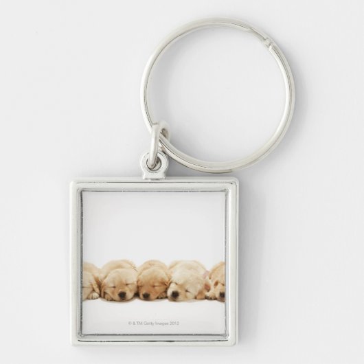 De puppies van de Gouden Herriever Sleutelhanger (Voorkant)