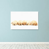 De puppies van de gouden rekruter canvas afdruk (Insitu (Houten vloer))