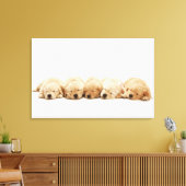De puppies van de gouden rekruter canvas afdruk (Insitu (Woonkamer))