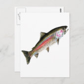 DE PURE BRIEFKAART (Voorkant / Achterkant)