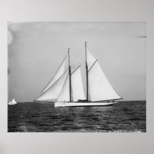 De puriteinse poster