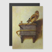 De Putter van Carel Fabritius (Voorkant / Achterkant)