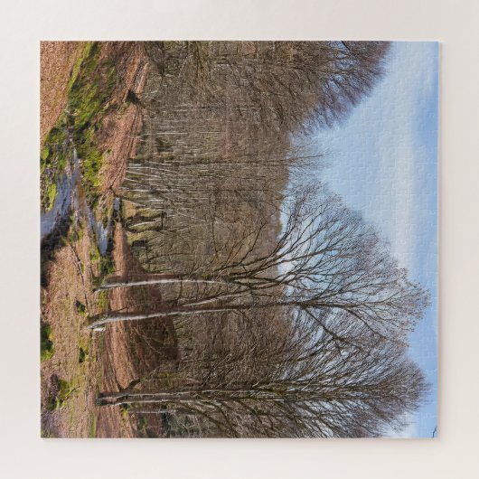 De puzzel van een rustig hout (Horizontaal)