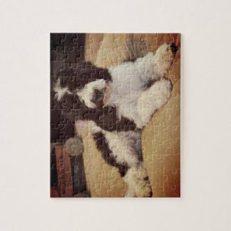 De Puzzel van Goldendoodle Legpuzzel