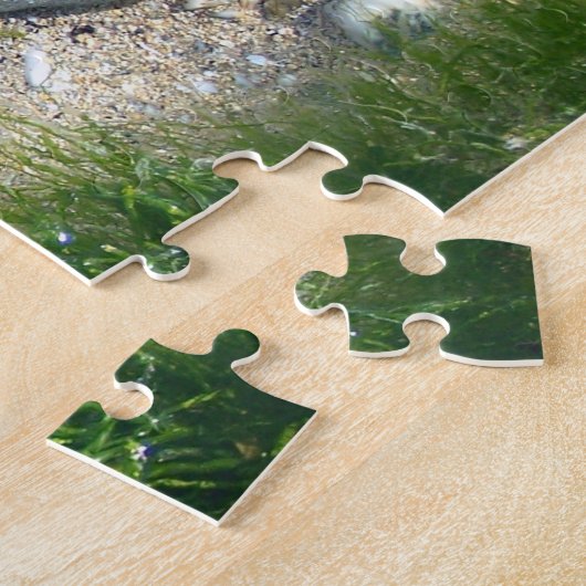 De puzzel van Rockpool (Zijkant)