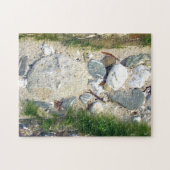 De puzzel van Rockpool (Horizontaal)