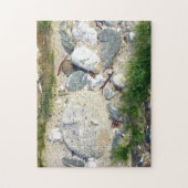 De puzzel van Rockpool (Verticaal)