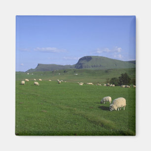 De Quiraing-bergen, Isle of Skye, Hooglanden, Magneet