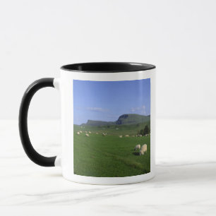 De Quiraing-bergen, Isle of Skye, Hooglanden, Mok