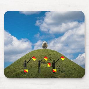 De Quiz van de Seinpaal van de vlag - Ooi Muismat