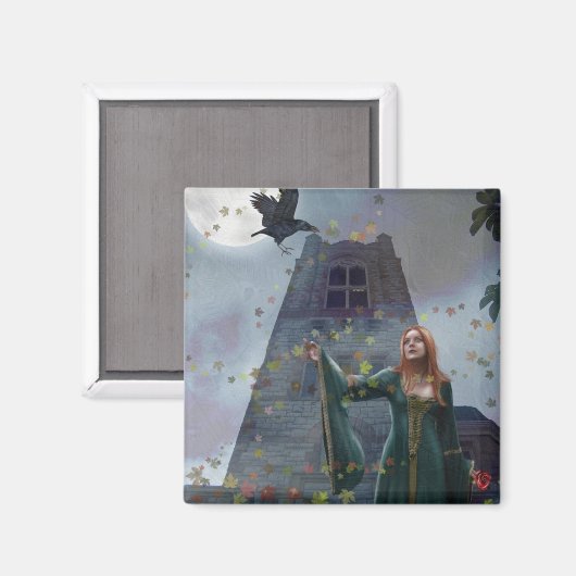 De raaf (magneet) magneet (Voorkant / Achterkant)