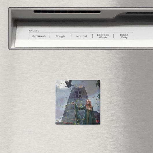 De raaf (magneet) magneet (Insitu (Vaatwasser))