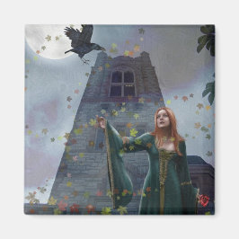 De raaf (magneet) magneet