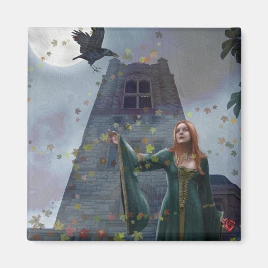 De raaf (magneet) magneet (Voorkant)