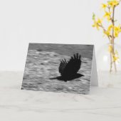 De Raaf van de Baai van Kachemak Kaart (Gele Bloem)