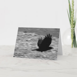 De Raaf van de Baai van Kachemak Kaart