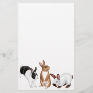 De Rabbits Stationery Briefpapier