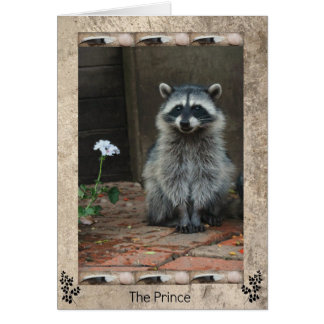 De Raccoon Prince