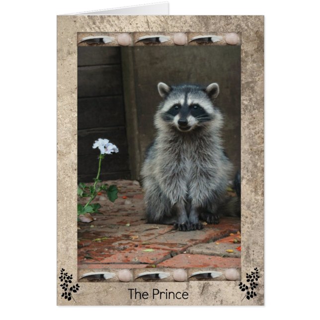 De Raccoon Prince (Voorkant)