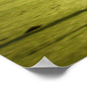 De race poster (Hoek)