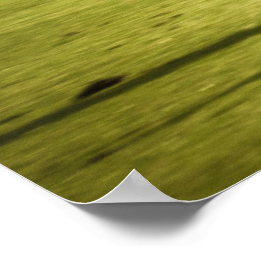 De race poster (Hoek)