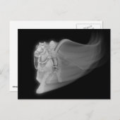 De Rand Reaper komt weer terug Briefkaart (Voorkant / Achterkant)