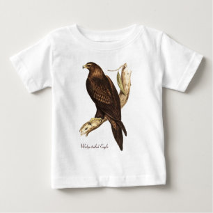 De rand van de adelaar. Een schitterende vogel van