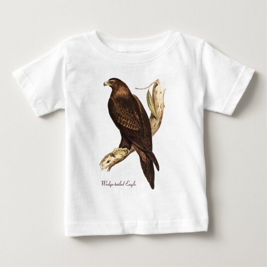 De rand van de adelaar. Een schitterende vogel van (Voorkant)