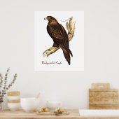 De rand van de adelaar. Een schitterende vogel van Poster (Keuken)