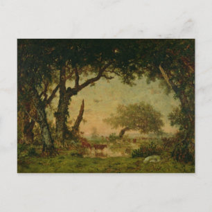 De rand van het bos in Fontainebleau Briefkaart