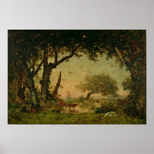De rand van het bos in Fontainebleau Poster (Voorkant)