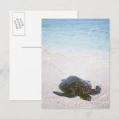 De rand van het water briefkaart (Voorkant / Achterkant)