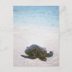 De rand van het water briefkaart