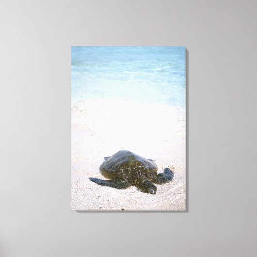 De rand van het water canvas afdruk (Voorkant)