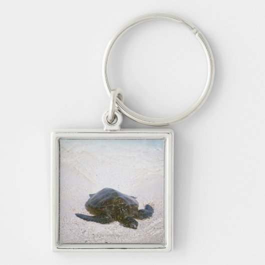 De rand van het water sleutelhanger (Voorkant)